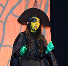 RRMS MidStage Mustangs production RRMS MidStage Mustangs production